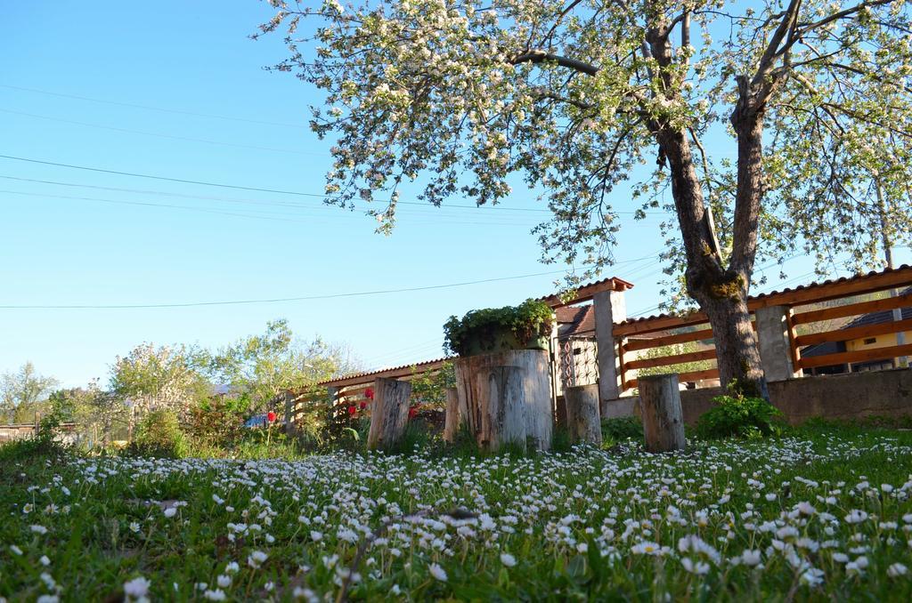 Villa Ribarița Exterior foto