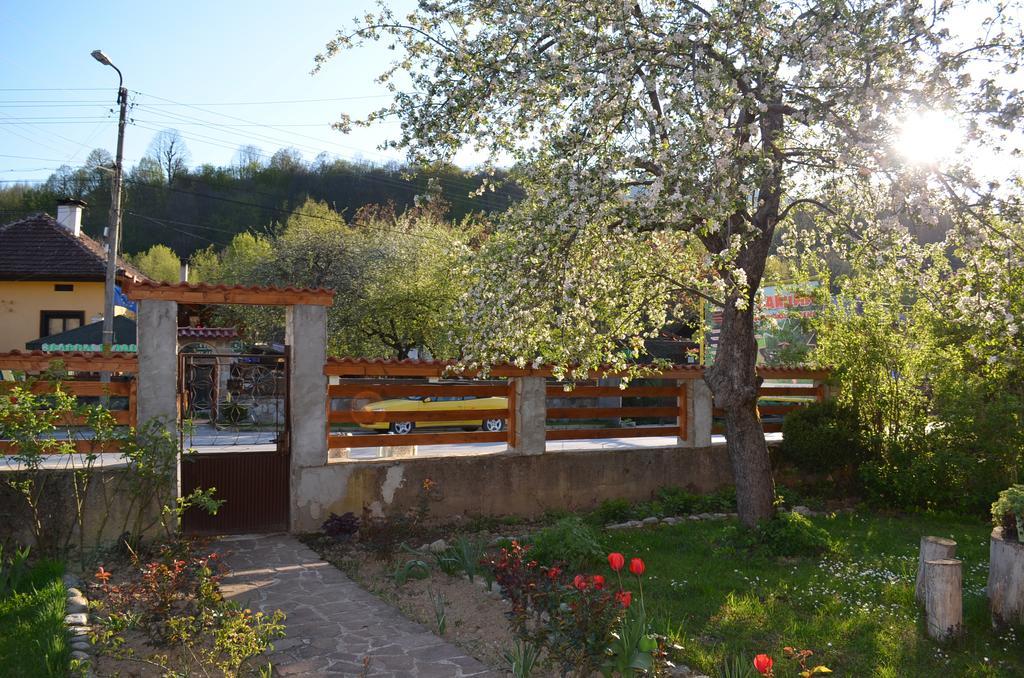 Villa Ribarița Exterior foto