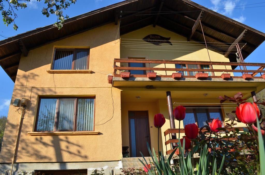 Villa Ribarița Exterior foto