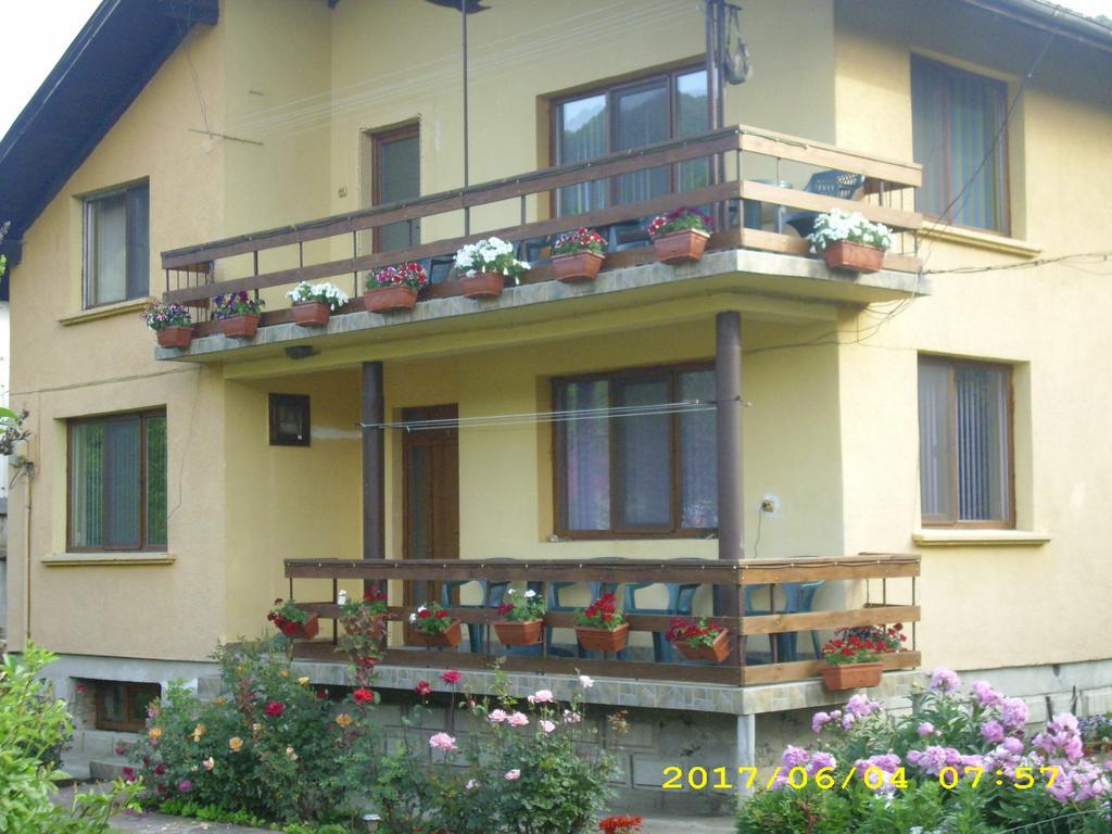 Villa Ribarița Exterior foto