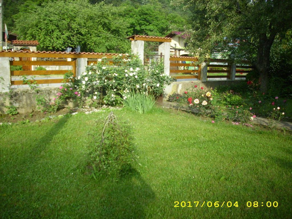 Villa Ribarița Exterior foto