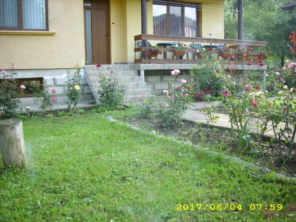 Villa Ribarița Exterior foto