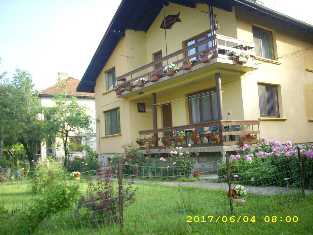 Villa Ribarița Exterior foto