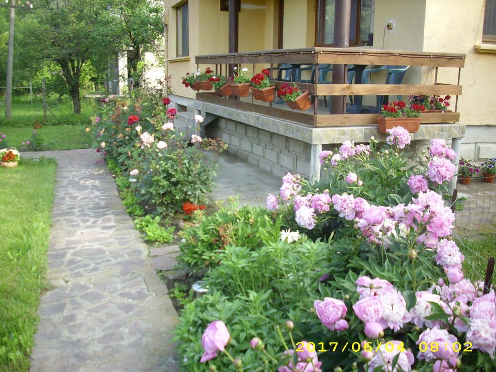 Villa Ribarița Exterior foto