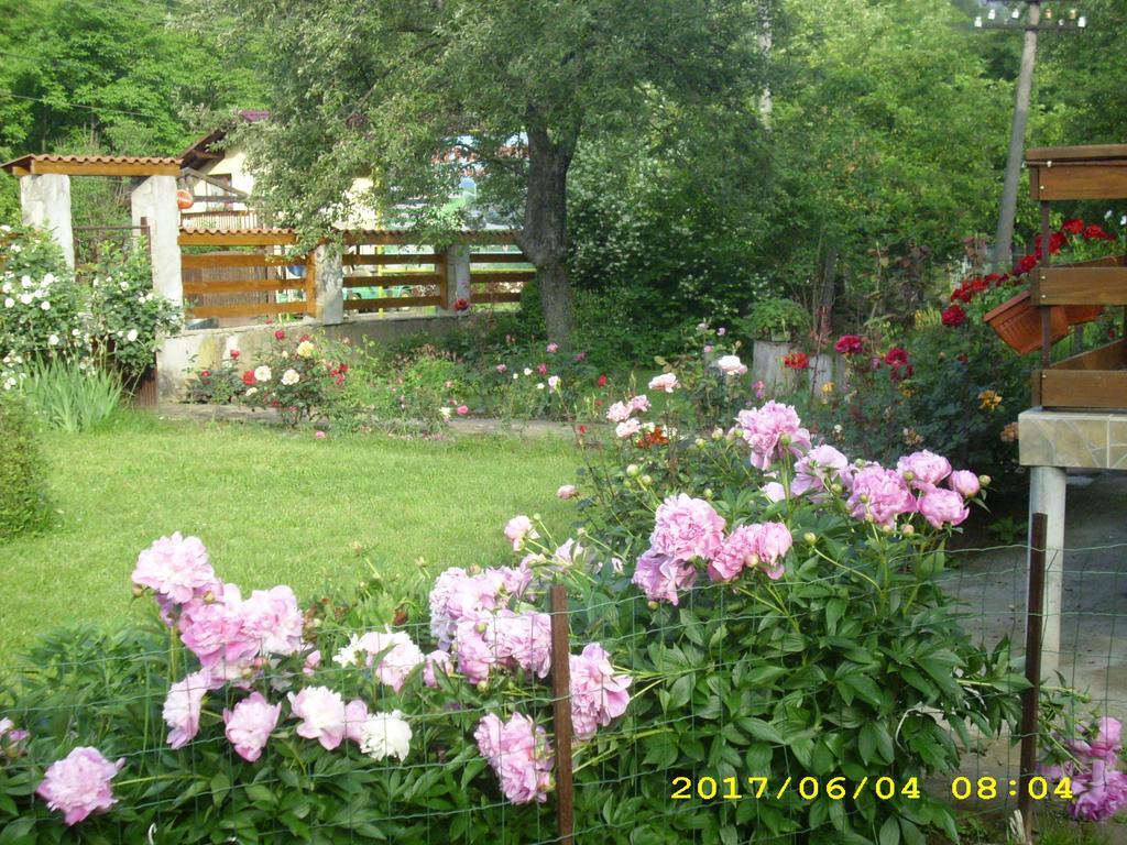 Villa Ribarița Exterior foto