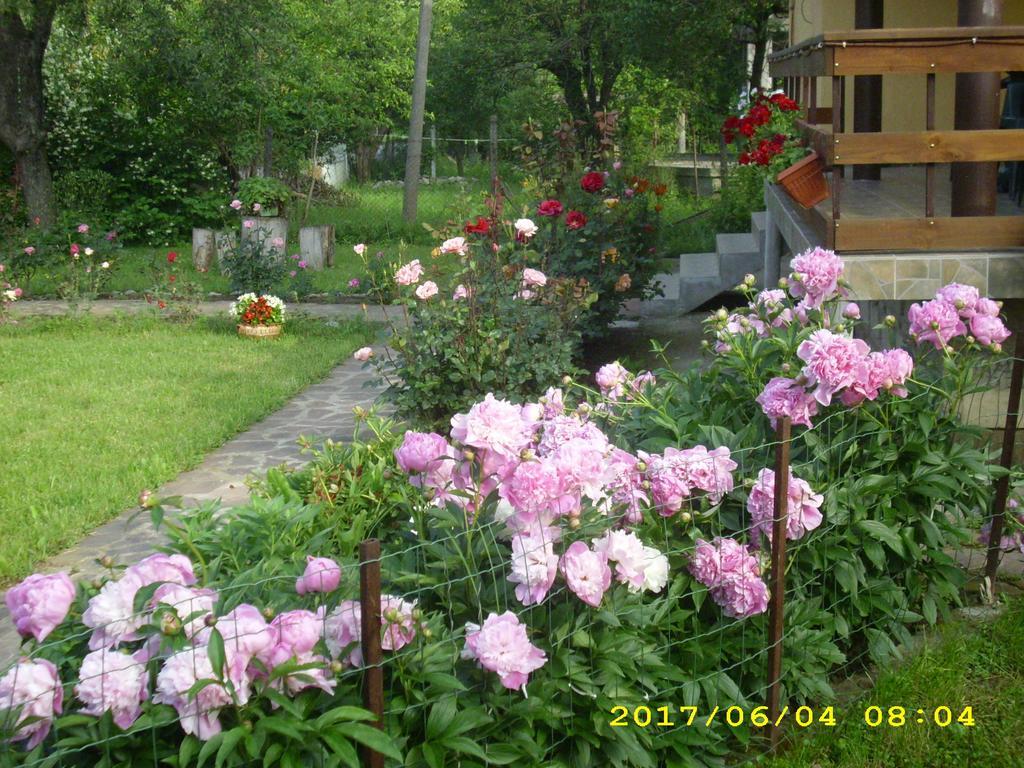 Villa Ribarița Exterior foto