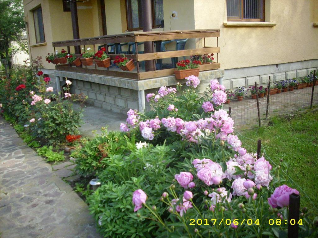 Villa Ribarița Exterior foto