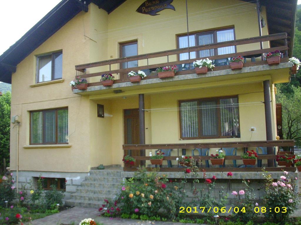 Villa Ribarița Exterior foto
