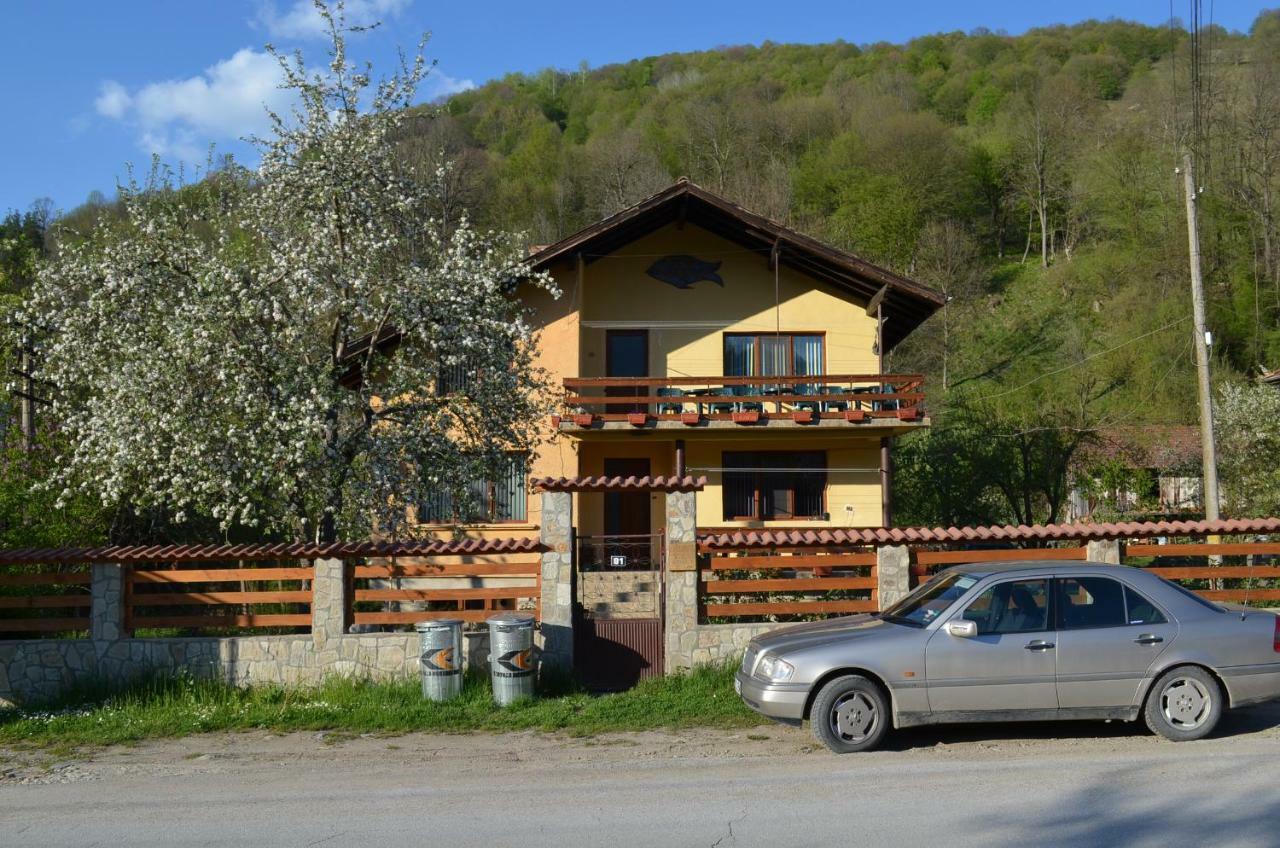 Villa Ribarița Exterior foto